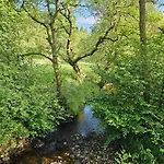 Pinfold Cottage, Tosside, Gisburn Forest Hébergement de vacances Tosside