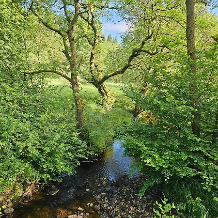 Pinfold Cottage, Tosside, Gisburn Forest Holiday home Tosside